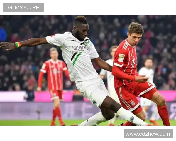 霍芬海姆与汉诺威96对决分析及比赛前瞻详解